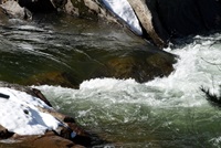 Snow runoff in a Sierra Nevada mountain stream.