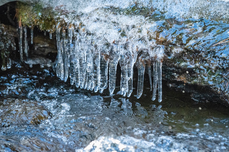 Snow runoff in a Sierra Nevada mountain stream