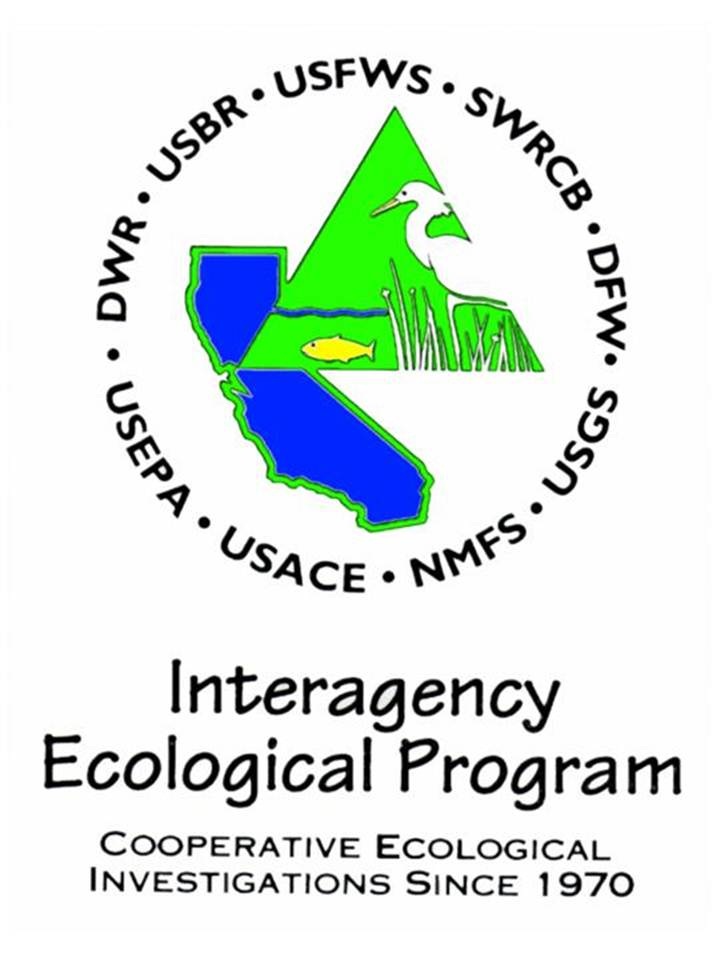 IEP Logo