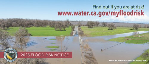 Cover image for the 2025 flood risk notification