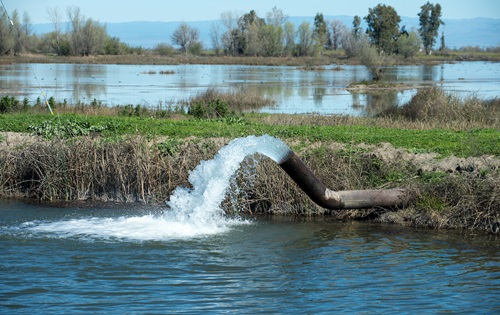Gray Lodge Wildlife Area in Gridley has groundwater wells that are pumping water to flood fields and supply water for waterfowl.