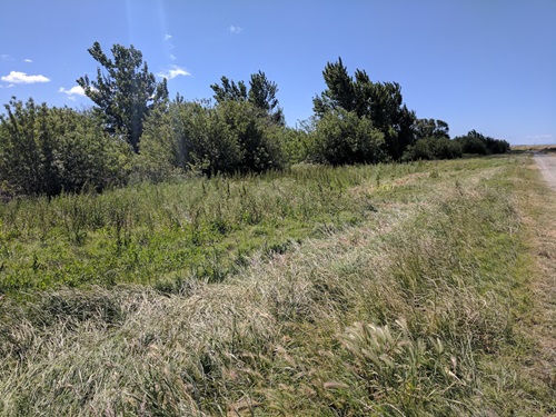 Photo of Twitchell Meadow