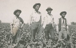 Historical photo of farmers in California.