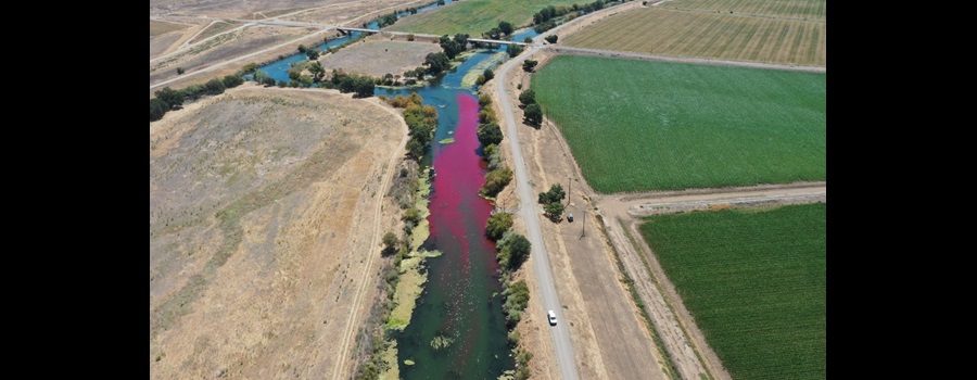 Dye Tracer Study conducted at Paradise Cut on July 19, 2022 using rhodamine dye to measure mean transport and dispersion rates of water in upper Paradise Cut with the goal of understanding high salinity water exchange and downstream transport into Old River.