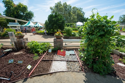 Department of Water Resources California State Fair display shows step-by-step examples of how to replace grass turf with water efficient plants.