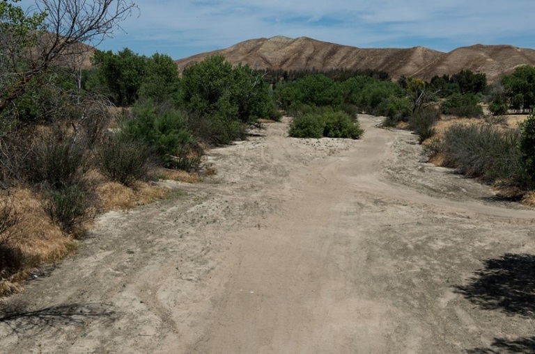 A view of the dry San Juan Creek in Shandon, Calif. on April 29th, 2015