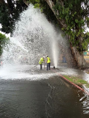 sheared hydrant, water loss, shower