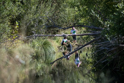 Two children stand near the edge of an urban stream, looking toward the water. The shoreline has riparian vegetation, including shrubs and overhanging plants. 