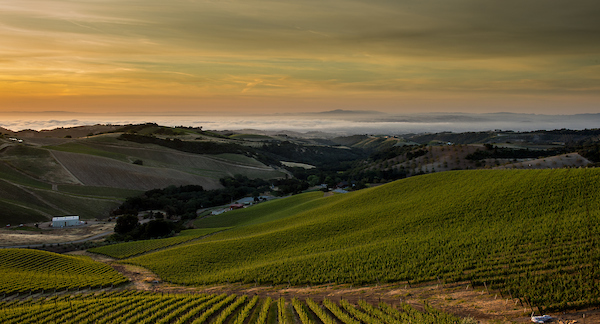 Central Valley agriculture landscape