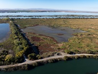 A drone view of the Prospect Island Tidal Habitat Restoration Project is a 1,600-acre project site that supports recovery of Delta smelt, Chinook salmon, and many other Delta-dependent fish and wildlife species while providing long-term resiliency with climate change. The $69.4 million project is funded by both the Department of Water Resources and US Bureau of Reclamation. The project is necessary for the long-term operations of the State Water Project and the federal Central Valley Project.. Photo taken November 7, 2024.