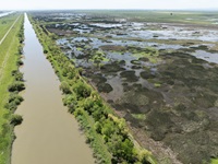 The Tide's End Multibenefit Restoration Project in Yolo County will convert the site from agriculture, managed marsh, and seasonal wetlands to agriculture, tidal marsh, seasonal wetlands (floodplain), and riparian habitat. Photo taken April 16, 2024.