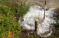 Groundwater irrigation for a rice field in the agriculture region of Yuba County east of Marysville, California. 