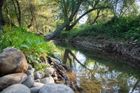 Willow Creek in Folsom