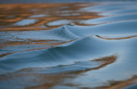 Close-up of water from Lake Oroville. Photo taken October 28, 2020.